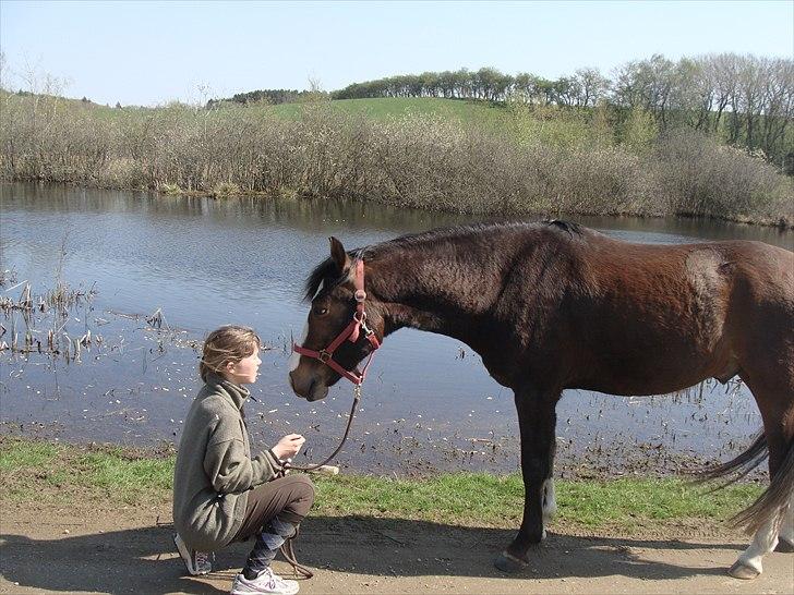 Pinto Vognbjergs Picasso billede 10