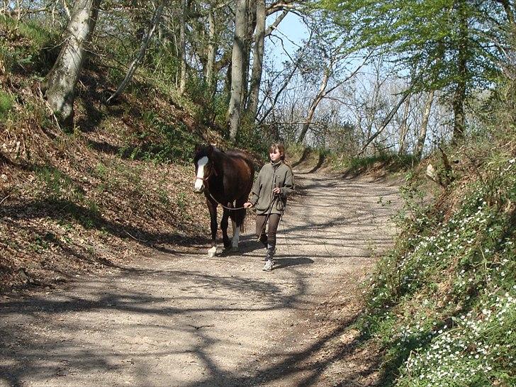Pinto Vognbjergs Picasso - Først når du siger ja til eventyret, kan din virkelige historie begynde. billede 11