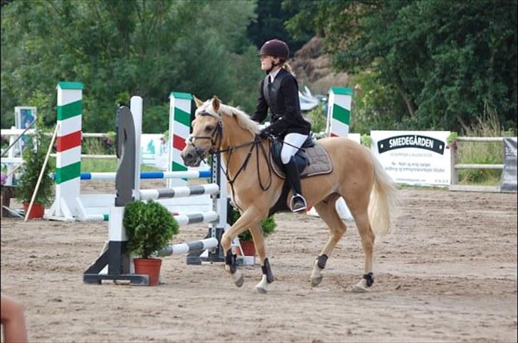 Anden særlig race Golden Dream:* (SOLGT):'( billede 2