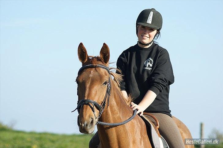 Anden særlig race | TALOU | MY SOULMATE - Taget af Josephine Hjelm Hansen .. billede 12