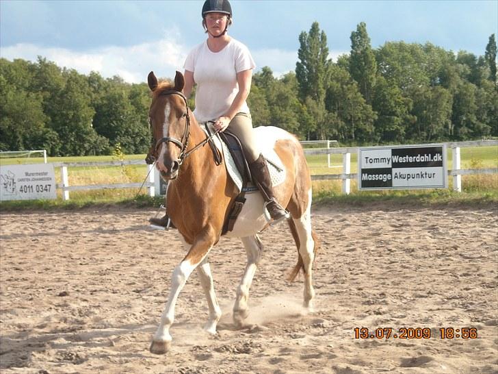 Anden særlig race Quintarnar de la orden (pinto) - (3)
fordi du altid vil have en speciel plads i mit hjerte!<3¨
Foto: Mig billede 3