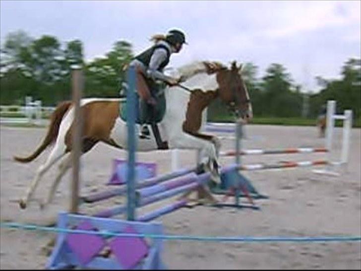 Anden særlig race Quintarnar de la orden (pinto) - (11)
Fordi du sprang ´mig tættere på himlen!:')
Foto: Mor (taget ud af video) billede 10