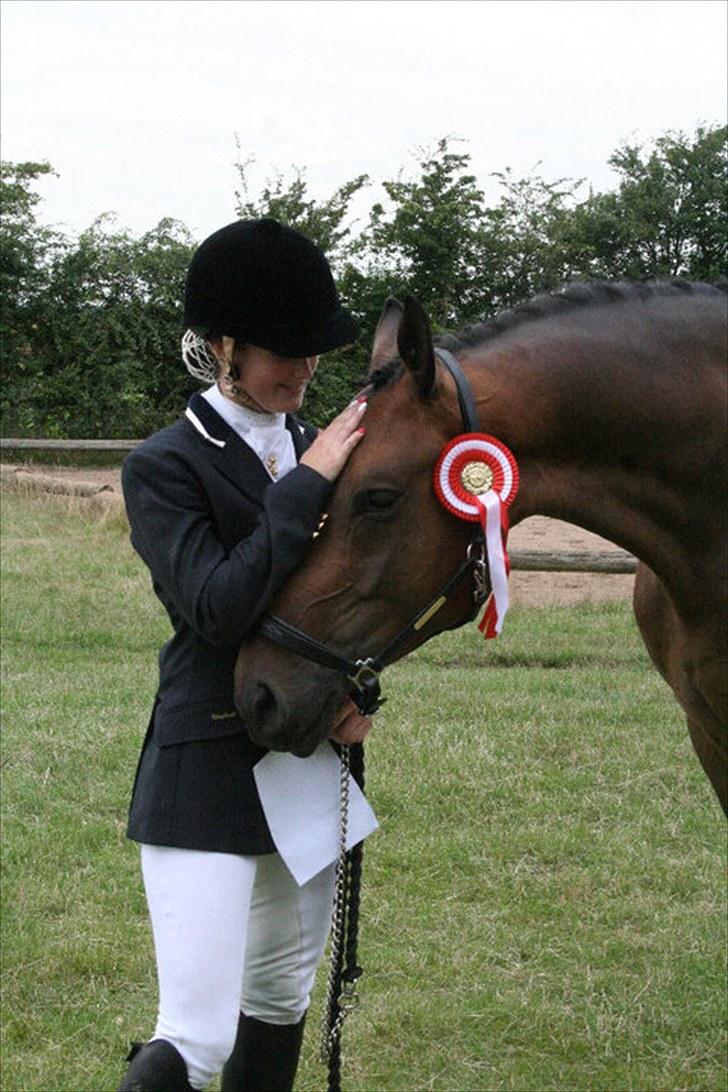Dansk Varmblod Hønnerups Force - stævne 2010 billede 4