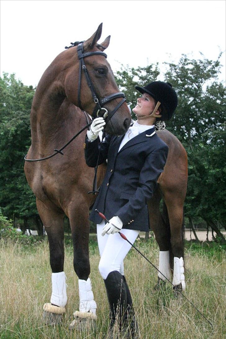 Dansk Varmblod Hønnerups Force - stævne 2010 billede 5