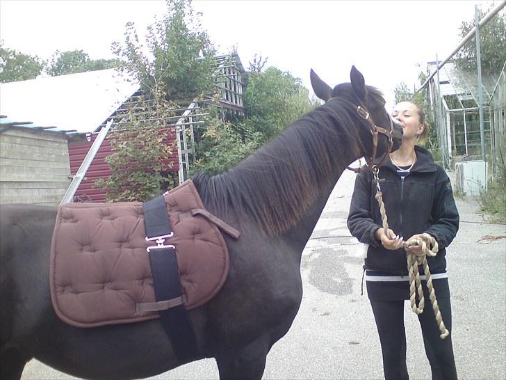 Anden særlig race Tayfun - Tayfun giver mig lige et kys, som jeg ikke lige havde set komme ;o) billede 9