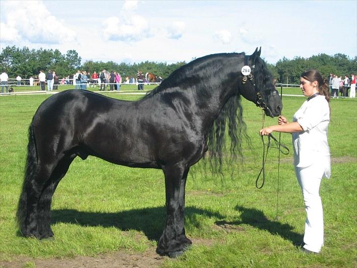 Frieser Tiemen Fan Panhuys billede 19