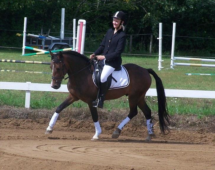 New Forest Lundgaards Bourbon billede 16