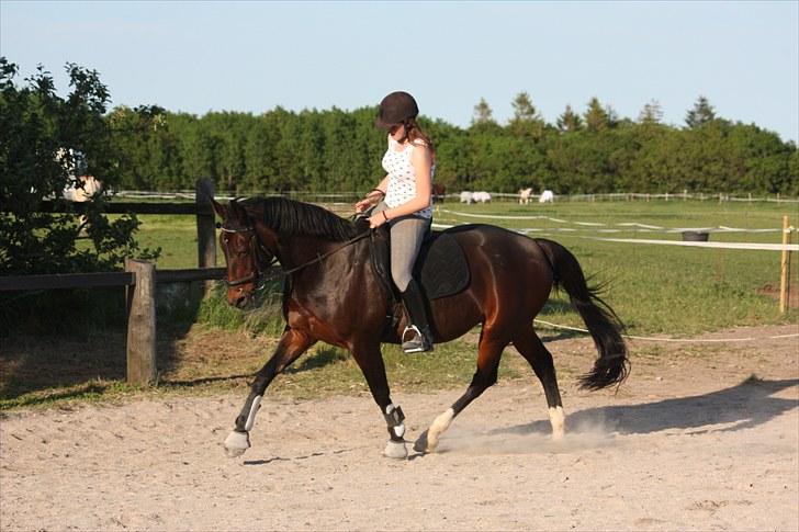 Traver Queen For Charity (SE) - billedet taget af marlene ølgod. billede 5