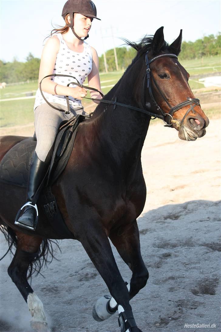 Traver Queen For Charity (SE) - billedet taget af marlene ølgod. billede 6