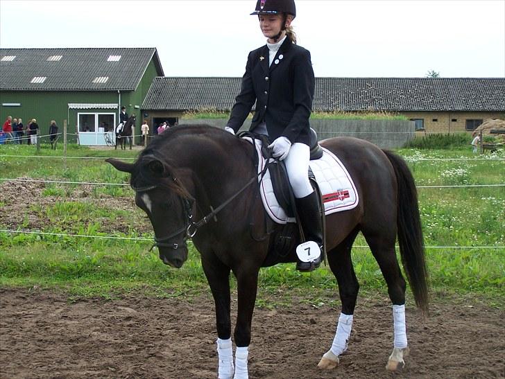 Anden særlig race Lundgaards Tiger Lili - SOLGT - Taget af Cecilie Rytter Olivia billede 1