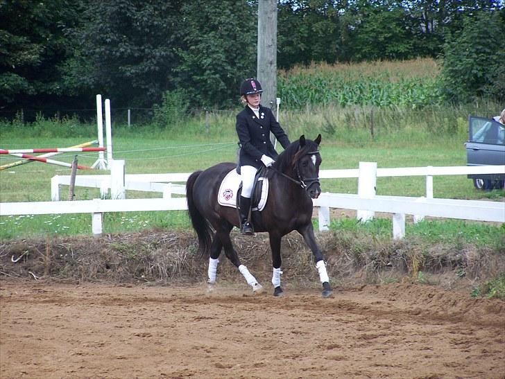 Anden særlig race Lundgaards Tiger Lili - SOLGT - Taget af Cecilie. Rytter Olivia billede 2
