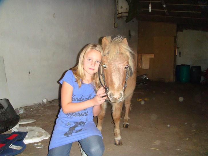 Miniature Thunder  - model biled billede 2