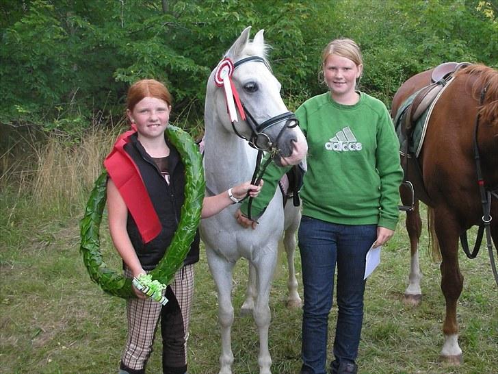 Anden særlig race Emma - Emma Kommune Mester 2009 i Løsning billede 1