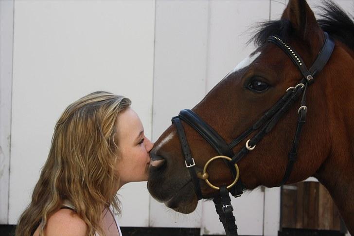 New Forest Marron (PART) - kys <3 billede 13