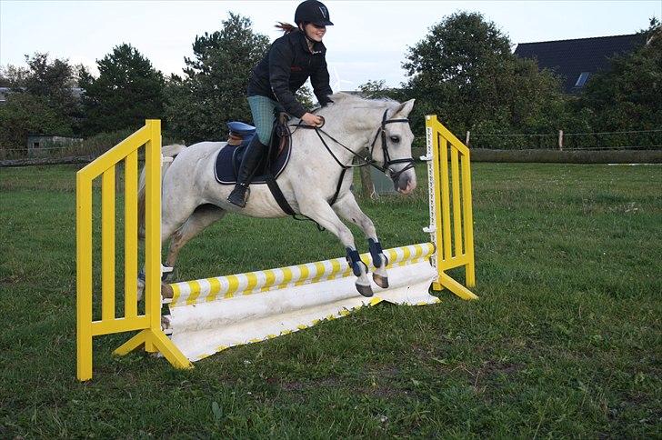 Anden særlig race Emma - Spring på Uldum Rideskole  Fotograf: Mig billede 5