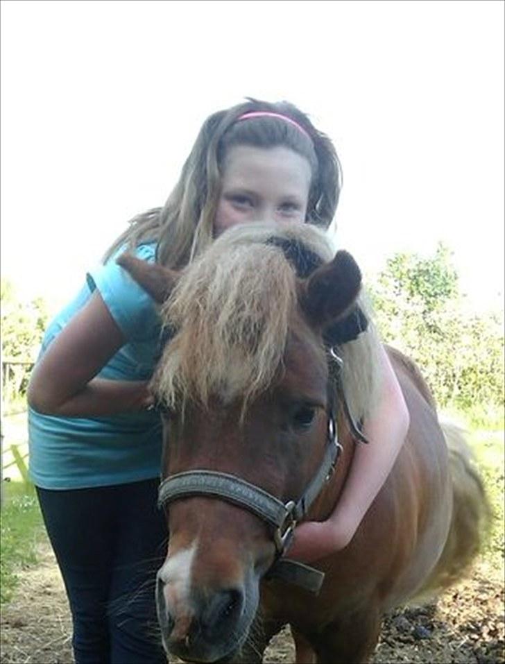 Anden særlig race Palle billede 5