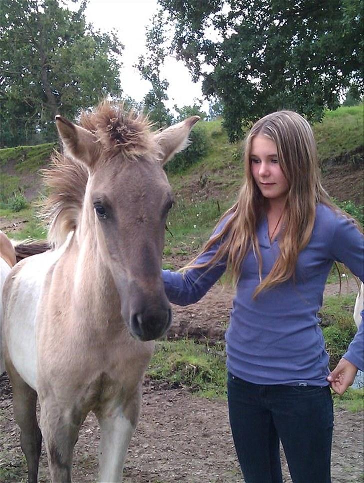 Anden særlig race |  Fillippa | solgt - Mig og Filippa igen(:. billede 9