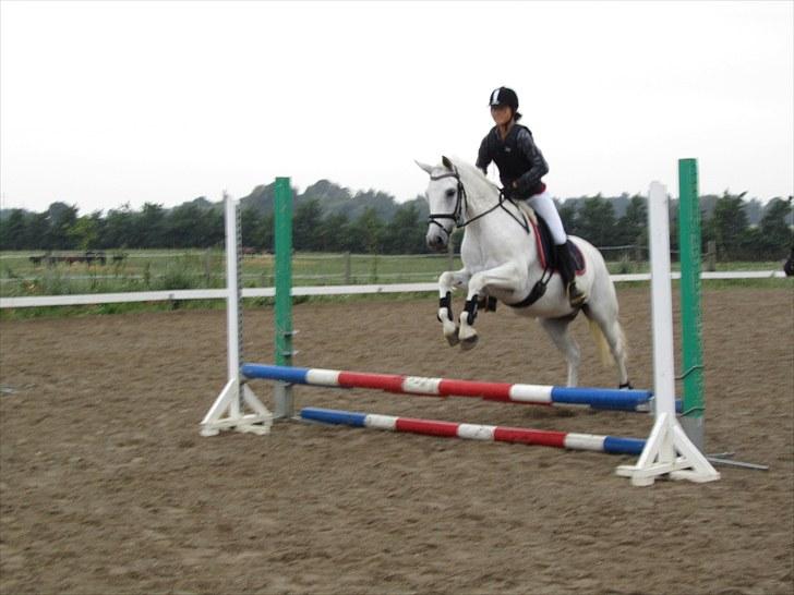 Connemara Guardian angel - Guardi elsker at springe! billede 12