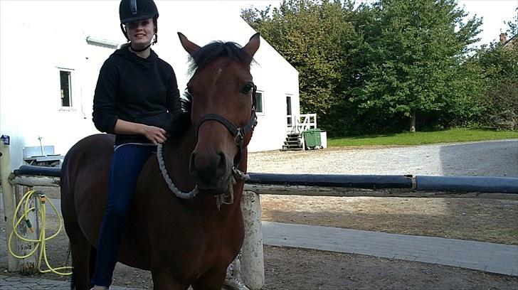 New Forest Lundgaards kahlua <3 billede 13