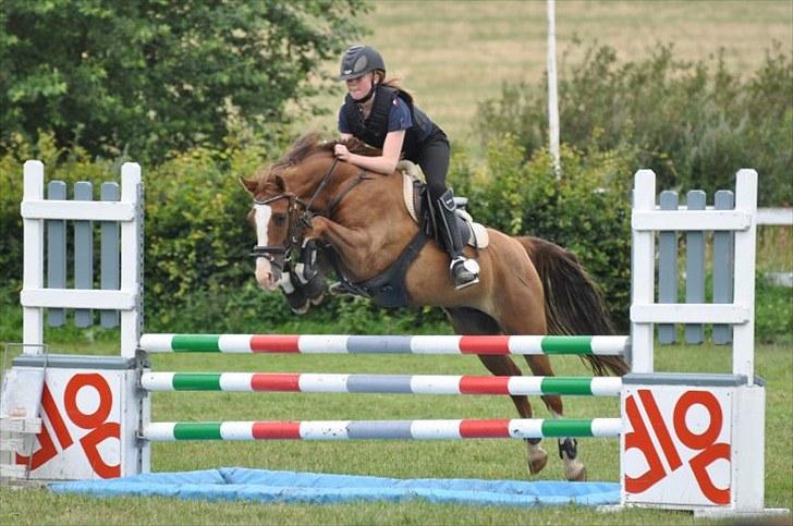 DSP ZIWAGO - springkursus 2010 billede 16