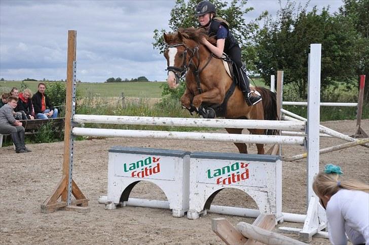 DSP ZIWAGO - springkursus 2010 billede 17