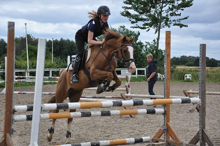 DSP ZIWAGO - springkursus 2010 billede 18