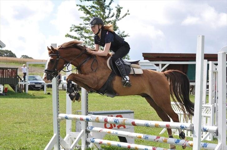 DSP ZIWAGO - springkursus 2010 billede 19