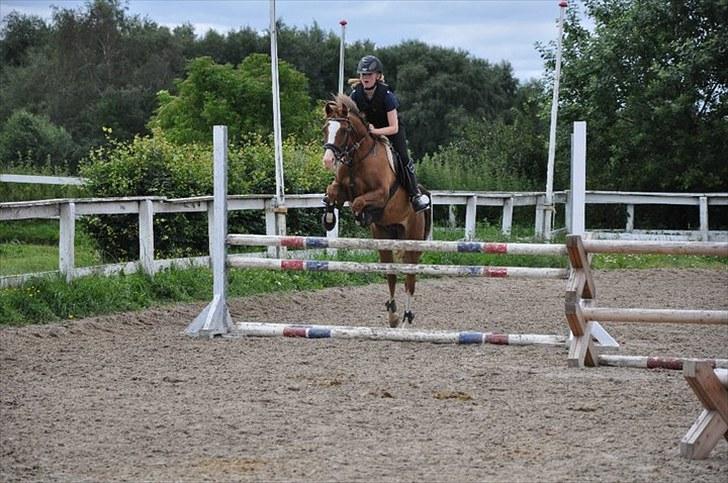 DSP ZIWAGO - springkursus 2010 billede 20