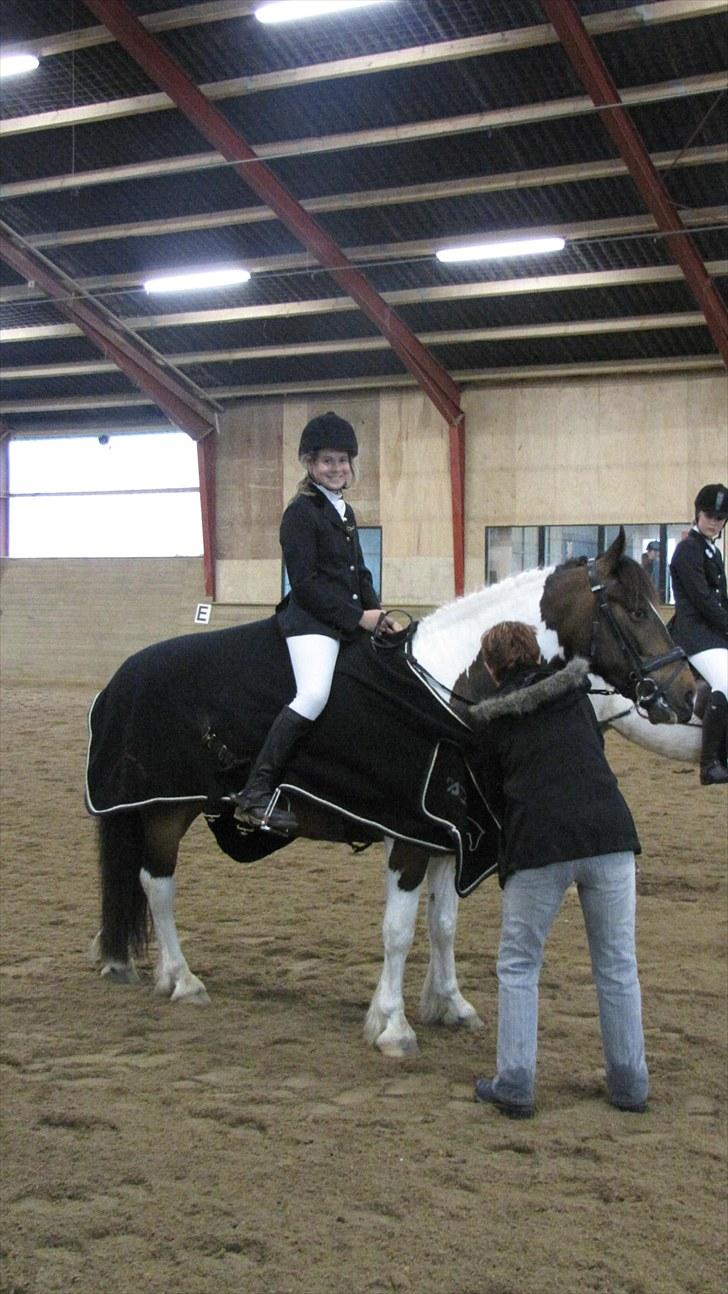 Anden særlig race Balder <3 - Præmie overrækkelse til klubstævnet & var godt nok STOLT af Balder musen billede 16