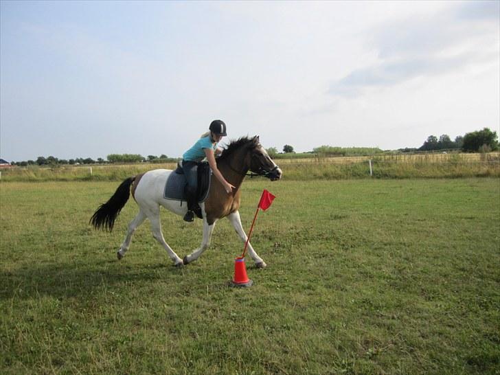 Anden særlig race Ebony's Surprise SOLGT - Du kan det hele minpige! billede 2