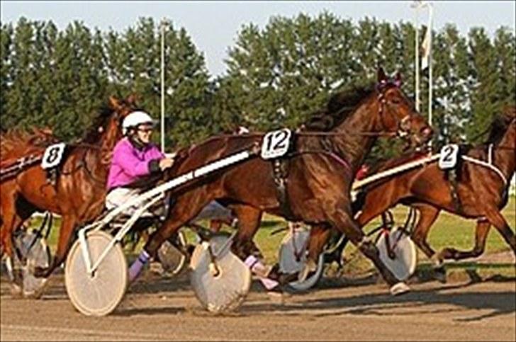 Traver Kiss mac laid billede 8