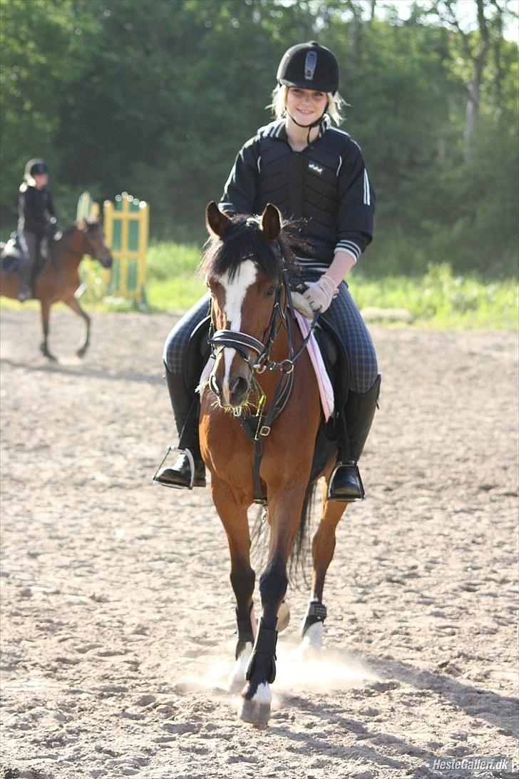 Anden særlig race Álice [tidl. hest] - JL-foto billede 9