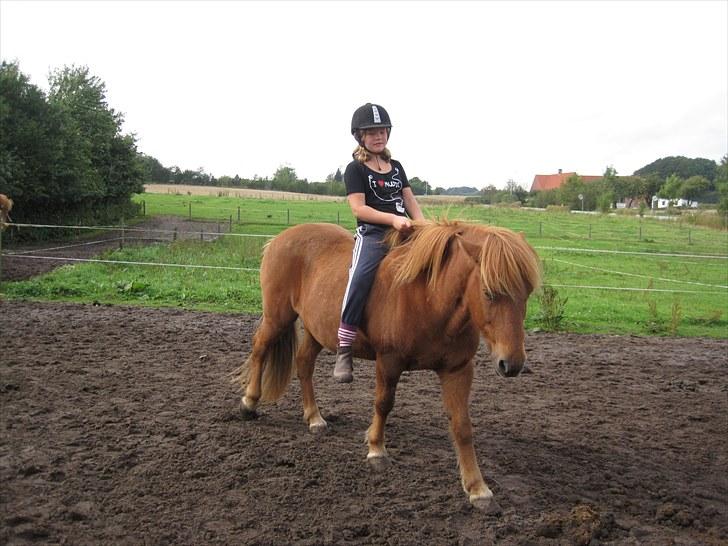 Islænder Blossi <3 (Flamme)<3 - I LOVE YOU! :D<3 billede 6