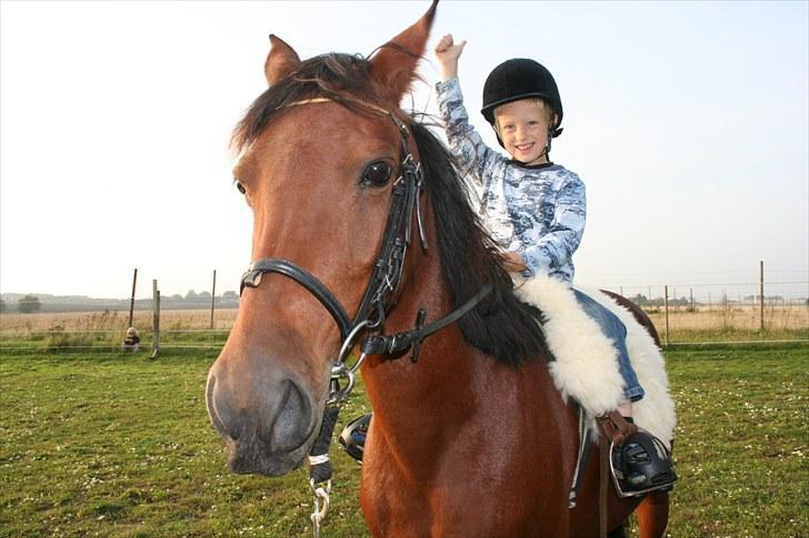 Anden særlig race Ronja AFDØD - Emils 1. ridetur. Stolt over selv at standse hende billede 7