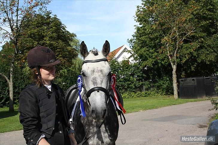 Anden særlig race Oldcastle Misty - Vores første ude stævne <3 1 og 2 plads :) billede 3