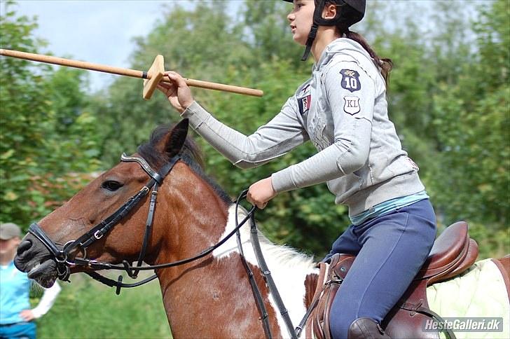 Anden særlig race Angel  Solgt til Emilie:D - Angel og jeg, vandt ringridning i Sjørslev Foto. Line N billede 20