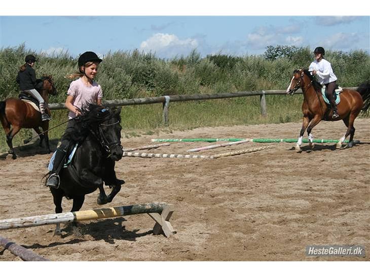 {{currentPhoto.altText}} billede {{currentPhoto.number}}