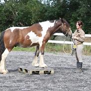 Tinker Cannon Ball  SOLGT