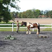 Tinker Cannon Ball  SOLGT