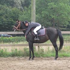 Fuldblod (XX) Soya<3 RIP