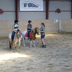 Anden særlig race Lolli