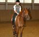 Tysk Sportspony Lykkes Maguire B pony