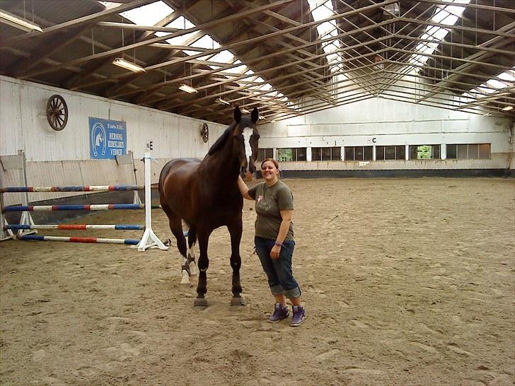 Dansk Varmblod Alingus - <3 billede 10