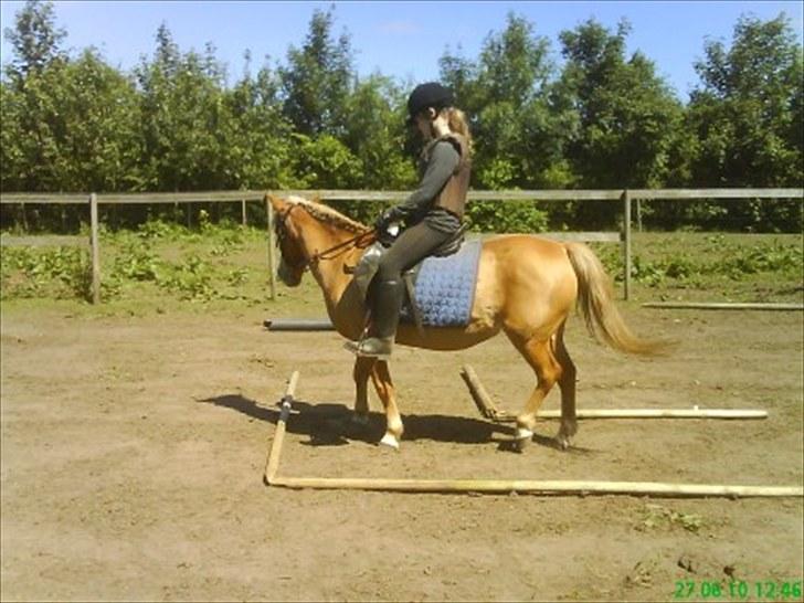 Anden særlig race Blis R.I.P - Pony games   jubii! billede 9