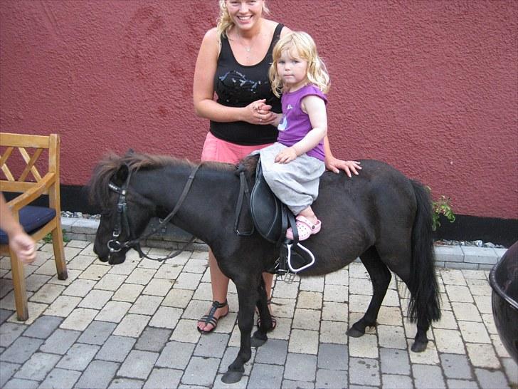 Anden særlig race Walodias Fifi - Min datter og mit barnebarn med Fifi billede 10