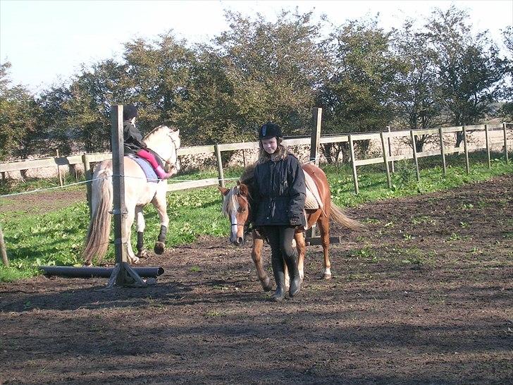 Anden særlig race Blis R.I.P - Love Blis billede 10