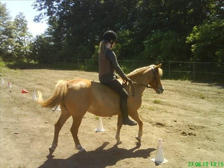 Anden særlig race Blis R.I.P - Pony games er nok det Blis synes er sjovest billede 13