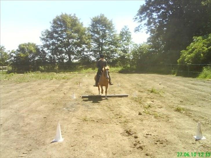 Anden særlig race Blis R.I.P - Og mere Pony games billede 15