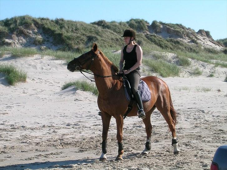 Traver Starfighter - På strandtur billede 4