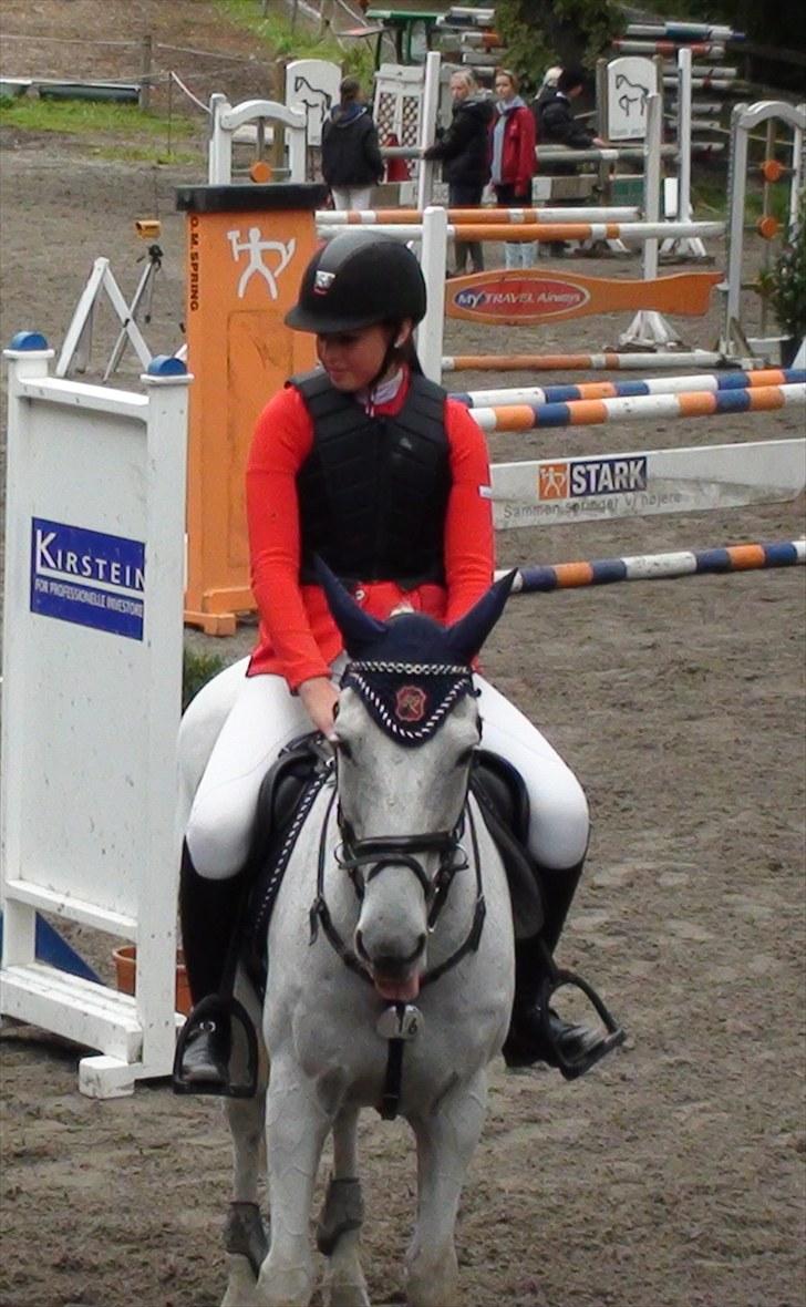 Anden særlig race victor - B pony † R.I.P † billede 15